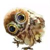 Cute Owls Birds Paint By Numbers