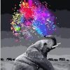 A Fun Elephant Paint By Number