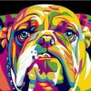 Abstract Bulldog Paint By Number