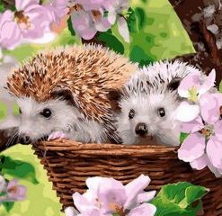 Adorable Hedgehog Paint By Number