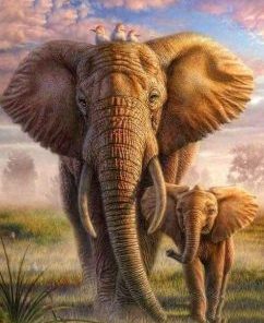 African Elephants Paint By Number