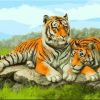 Ashian Tigers Paint By Number