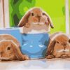 Baby Rabbits Paint By Number