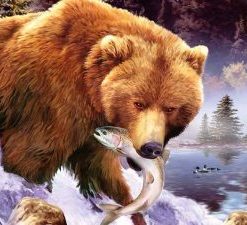 Bears Eat Fish Paint By Number