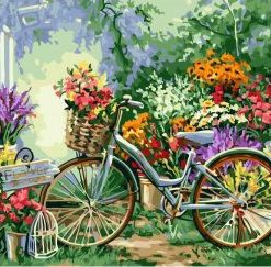 Bicycle Flowers Paint By Number