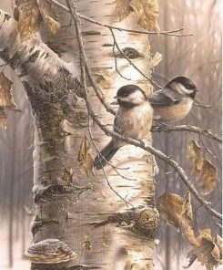 Bird Birch Tree Paint By Number