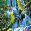 Birds On Jungle Paint By Number