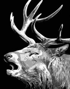 Black And White Elk Paint By Number