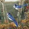 Blue Jay On Tree Paint By Number