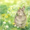Cute Rabbit In Green Grass Animals Paint By Numbers