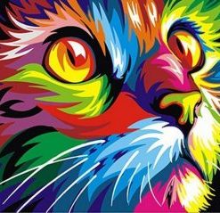 Colorful Cat Paint By Number