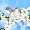 Cute Birds With Flowers Paint By Number