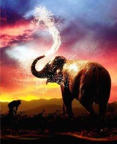 Elephant At Sunset Paint By Number