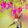 Flowers With Hummingbird Paint By Number