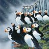 Horned Puffin Birds Paint By Numbers