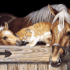 Horse And Cat Paint By Number