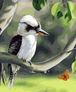 Kookaburra on Branch paint by numbers