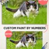 Paint By Numbers Customized thumbnail