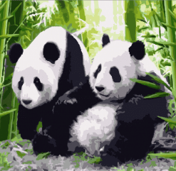 Adorable Panda Couple Paint By Number