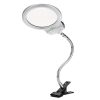 Lighted Magnifying Glass Object