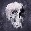 Decay Skull Abstract Paint By Numbers