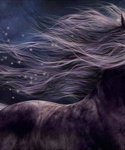 Dreamy Horse Animals Paint By Numbers