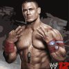 John Cena Sports Paint By Numbers