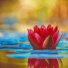 Lotus In The Water NEW Paint By Numbers