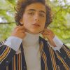 Classy Timothee Chalamet NEW Paint By Numbers
