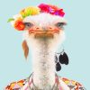 Stylish Common Ostrich NEW Paint By Numbers