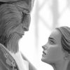 Black And White Beauty And The Beast NEW Paint By Numbers