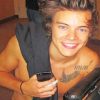 Cute Tattooed Harry Styles NEW Paint By Numbers