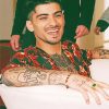 Handsome Zayn Malik Smiling NEW Paint By Numbers
