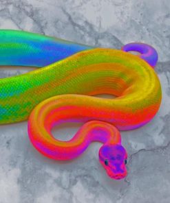 Rainbow Snake paint by numbers