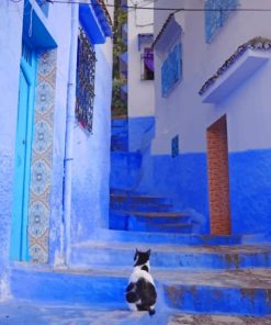 Moroccan Cat paint by numbers