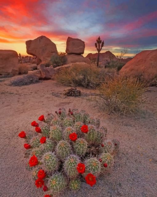 Aesthetic Cactus Plants paint by numbers