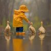 Boy Playing With Ducks Paint By Numbers