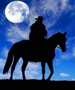 Cowboy Under The Moon Paint by numbers