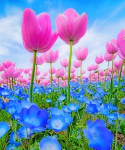 Blue And Pink Flowers Paint by numbers