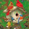 Bird House paint by numbers