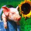 Aesthetic Pig And Sunflower Paint by numbers