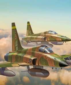 F 5e tiger Aircraft paint by number