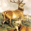 aesthetic-deers-paint-by-numbers