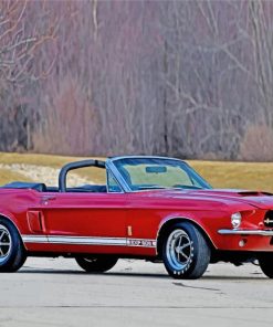 car-ford-1967-shelby-gt500-car-paint-by-number