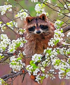 Raccoon In Blossoms Paint by numbers