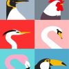 birds-illustration-paint-by-numbers