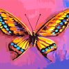 aesthetic-butterfly-paint-by-numbers