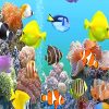 Colorful-fishes-deep-sea-adult-paint-by-numbers