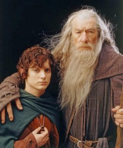 Gandalf And Frodo paint by numbers