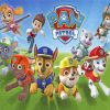 Paw Patrol Animation Paint by numbers